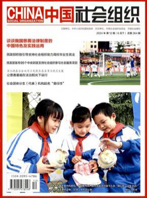 中国社会组织期刊